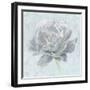 Sublime Peony II-Wellington Studio-Framed Art Print