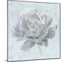 Sublime Peony II-Wellington Studio-Mounted Art Print