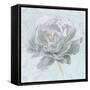 Sublime Peony II-Wellington Studio-Framed Stretched Canvas