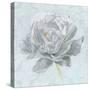 Sublime Peony II-Wellington Studio-Stretched Canvas