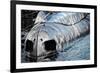 Submarine at Philadelphia Marina-null-Framed Photo