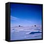 Submarines Submerged at North Pole-null-Framed Stretched Canvas