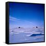 Submarines Submerged at North Pole-null-Framed Stretched Canvas