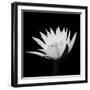 Submerged With Life #2, 2007-Hiroyuki Arakawa-Framed Photographic Print