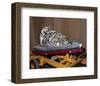 subscale reentry test vehicle-null-Framed Art Print