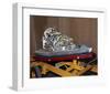 subscale reentry test vehicle-null-Framed Art Print