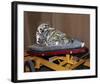 subscale reentry test vehicle-null-Framed Art Print