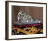 subscale reentry test vehicle-null-Framed Art Print