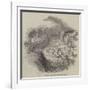 Subsidence of Earth Near Stowmarket-null-Framed Giclee Print