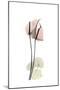 Subtle Anthurium-Albert Koetsier-Mounted Premium Giclee Print