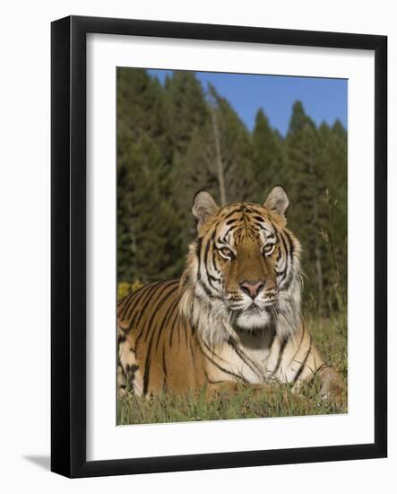 Subtle Beauty-Susann Parker-Framed Premium Photographic Print