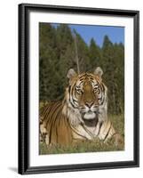 Subtle Beauty-Susann Parker-Framed Photographic Print