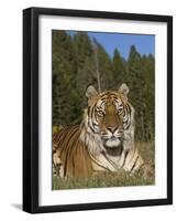 Subtle Beauty-Susann Parker-Framed Photographic Print