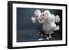 Subtle Beauty-Sarah Gardner-Framed Photographic Print