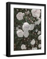 Subtle Evening-Wellington Studio-Framed Art Print