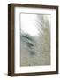 Subtle Grasses II-Jason Johnson-Framed Photographic Print