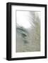 Subtle Grasses II-Jason Johnson-Framed Photographic Print