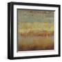 Subtle II-Andrew Michaels-Framed Art Print