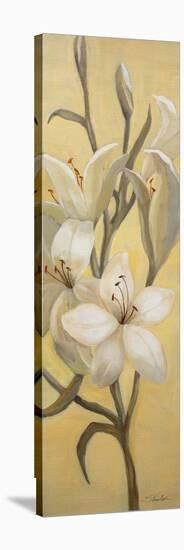 Subtle Lily I-Silvia Vassileva-Stretched Canvas