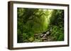 Subtropical Forest in Nepal-Quick Shot-Framed Photographic Print
