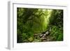 Subtropical Forest in Nepal-Quick Shot-Framed Photographic Print