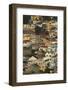 Suburb of Bo-Kaap, Cape Town, South Africa-David Wall-Framed Photographic Print