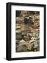 Suburb of Bo-Kaap, Cape Town, South Africa-David Wall-Framed Photographic Print