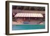 Suburban Backyard Pool, Retro-null-Framed Art Print