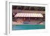 Suburban Backyard Pool, Retro-null-Framed Art Print