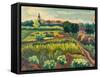 Suburban Gardens, 2005-Marta Martonfi-Benke-Framed Stretched Canvas