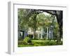 Suburban House in Antibellum Style of Architecture, Mobile, Alabama, USA-Anthony Waltham-Framed Premium Photographic Print