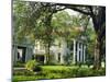 Suburban House in Antibellum Style of Architecture, Mobile, Alabama, USA-Anthony Waltham-Mounted Photographic Print