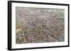 Suburban Houses in the Midlands, England, United Kingdom, Europe-Julian Elliott-Framed Photographic Print