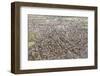 Suburban Houses in the Midlands, England, United Kingdom, Europe-Julian Elliott-Framed Photographic Print