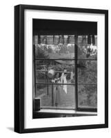 Suburban Housewife Hanging Out a Bit of Laundry, Seen Through Window in typical California Home-Loomis Dean-Framed Photographic Print