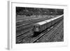 Subway 7 Train Queens NYC-null-Framed Photo