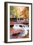 Subway Approach and Flowing Cascades, North Creek, Zion National Park-Vincent James-Framed Photographic Print