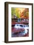 Subway Approach, Autumn Zion National Park, Natural Wonder, Southern Utah-Vincent James-Framed Photographic Print