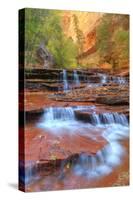 Subway Cascades and Approach at Zion-Vincent James-Stretched Canvas