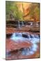 Subway Cascades and Approach at Zion-Vincent James-Mounted Photographic Print