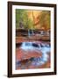 Subway Cascades and Approach at Zion-Vincent James-Framed Photographic Print