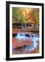 Subway Cascades and Approach at Zion-Vincent James-Framed Photographic Print