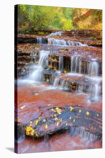 Subway Cascades Approach at Zion-Vincent James-Stretched Canvas