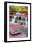 Subway Cascades Approach at Zion-Vincent James-Framed Photographic Print