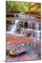 Subway Cascades Approach at Zion-Vincent James-Mounted Photographic Print