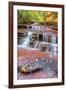 Subway Cascades Approach at Zion-Vincent James-Framed Photographic Print