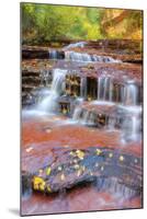 Subway Cascades Approach at Zion-Vincent James-Mounted Photographic Print