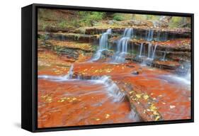 Subway Cascades at Zion-Vincent James-Framed Stretched Canvas