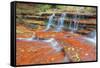 Subway Cascades at Zion-Vincent James-Framed Stretched Canvas