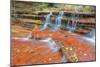 Subway Cascades at Zion-Vincent James-Mounted Photographic Print